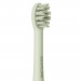 Набор электрических зубных щеток Revyline RL 075 DUO Limpet shell + Lime cream